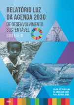 Relatório luz da agenda 2030