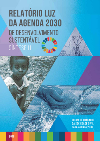 Relatório luz da agenda 2030
