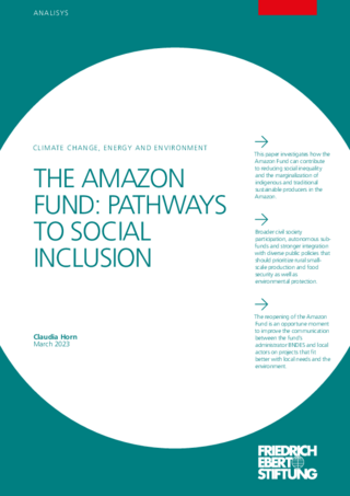 The Amazon Fund