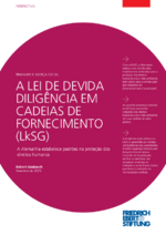 A lei de devida diligência em cadeias de fornecimento (LkSG)